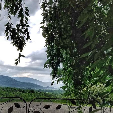 Blue Ridge Manor Bed And Breakfast Fancy Gap 外观 照片