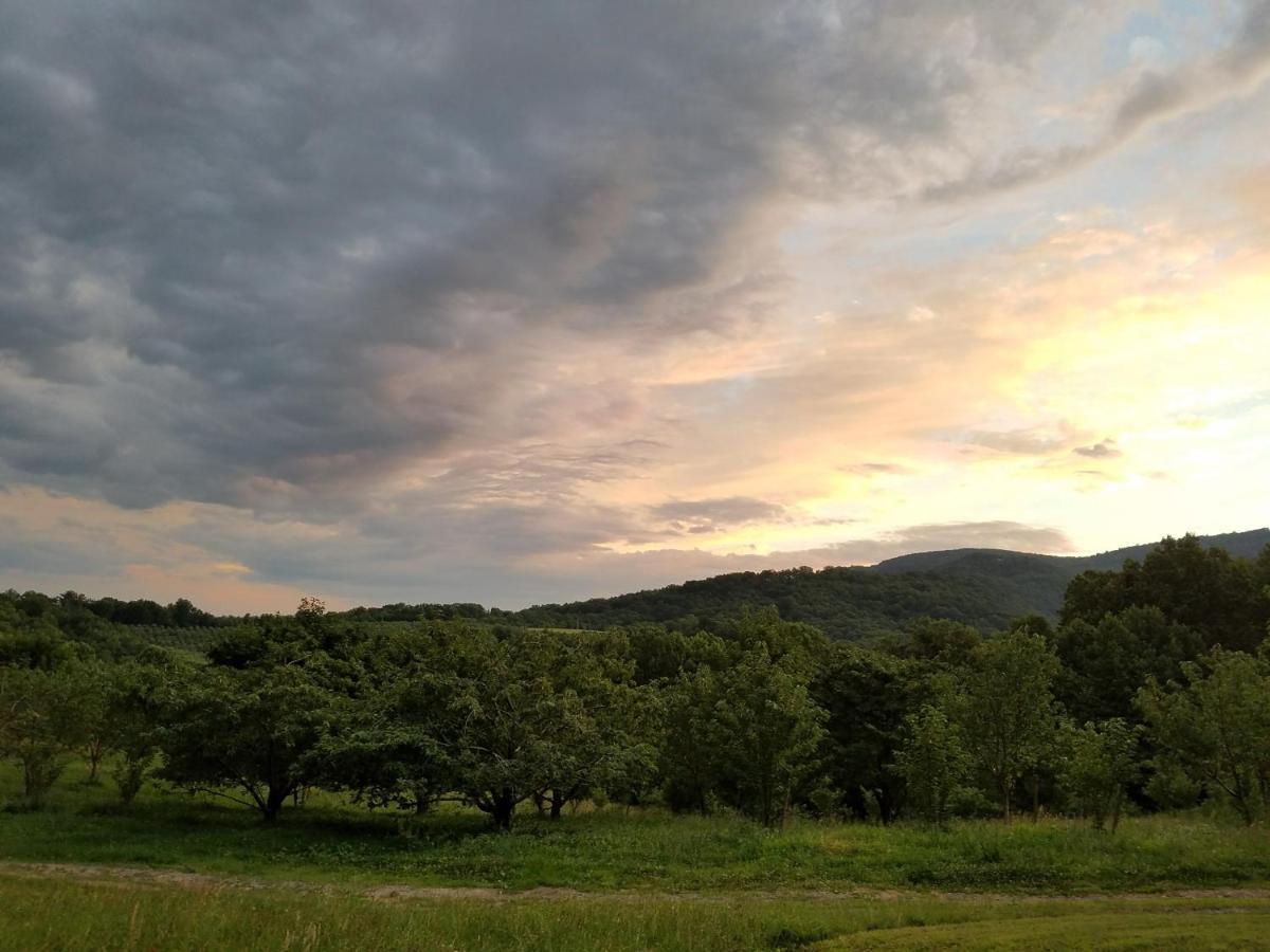 Blue Ridge Manor Bed And Breakfast Fancy Gap 外观 照片